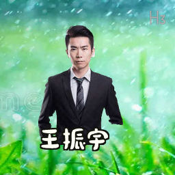 王振宇